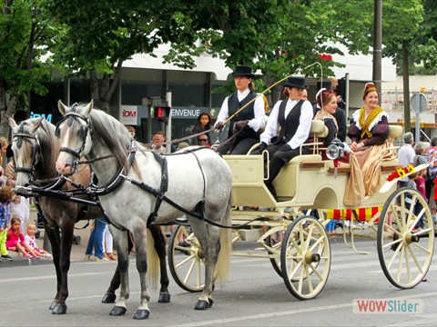 Traditions Provenales